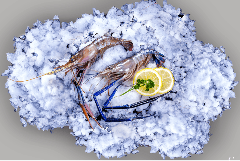 Crevettes fraîches sur glace, citron et persil